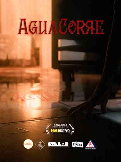 AGUA CORRE poster