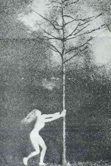 The Phallic Forest Poster