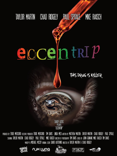 Eccentrip Poster