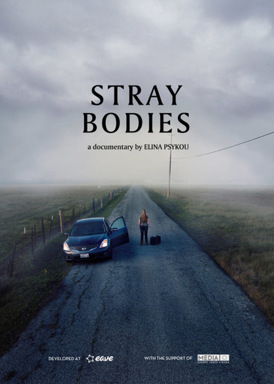 Stray Bodies Poster