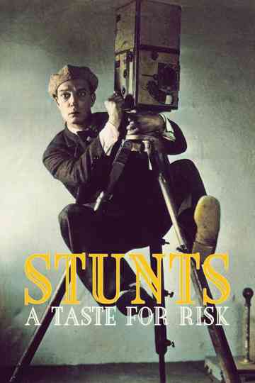 Stunts: A Taste for Risk Poster