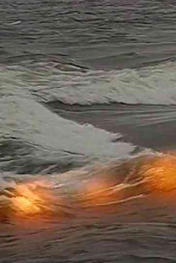 Les bruits blancs Poster