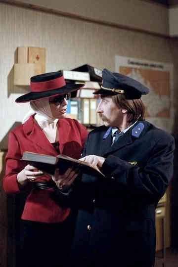 Domácí lékař Poster