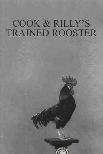 Cook & Rilly's Trained Rooster Poster