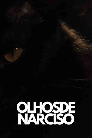 Olhos de Narciso Poster