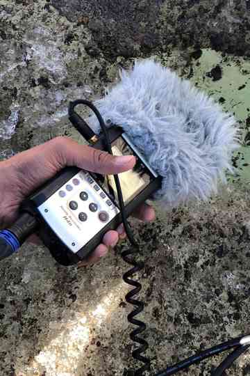 Listening to Ice Poster