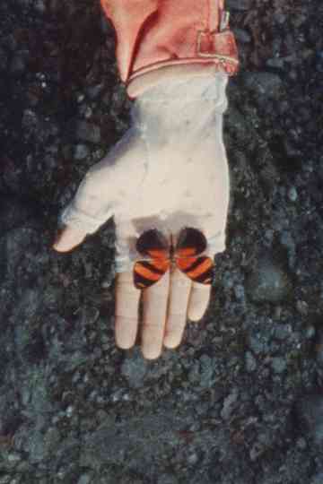 A Monster Called Love Poster