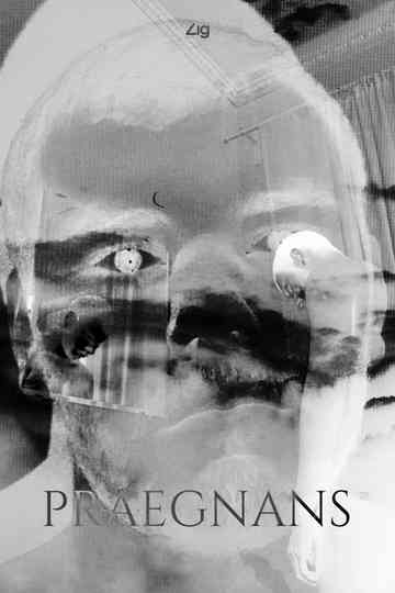 Praegnans Poster