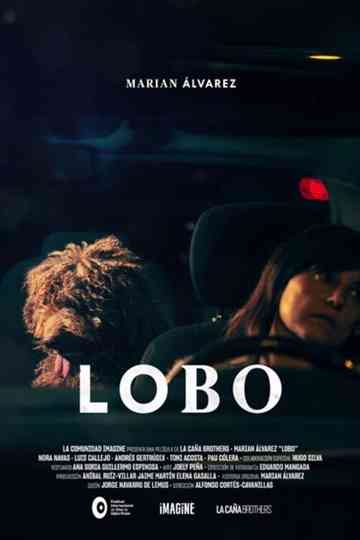 Lobo Poster