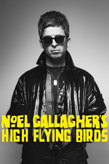 Noel Gallagher's High Flying Birds en concert au Zénith de Paris Poster