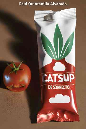 Packet of Ketchup Poster