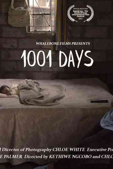 1001 Days Poster
