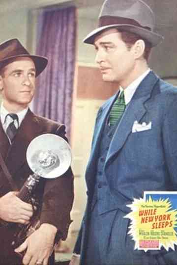 While New York Sleeps Poster