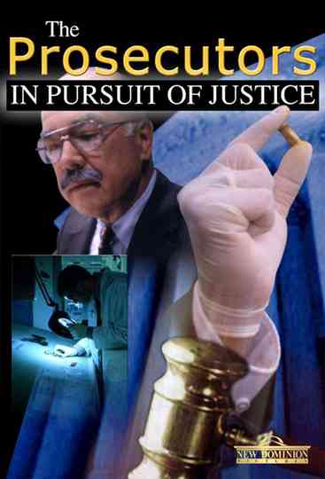 The Prosecutors: In Pursuit Of Justice Poster