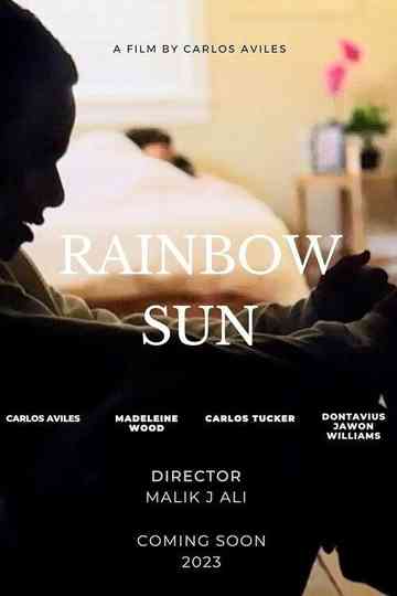 Rainbow Sun Poster