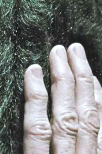 Discovering Texture poster