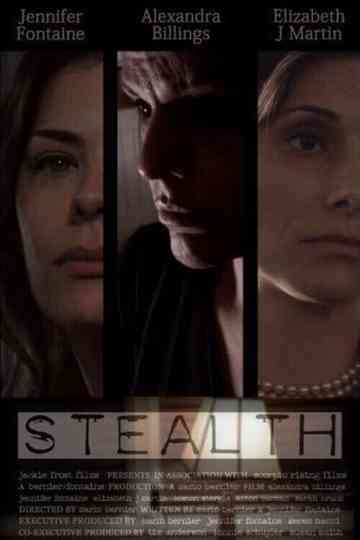 Stealth Poster