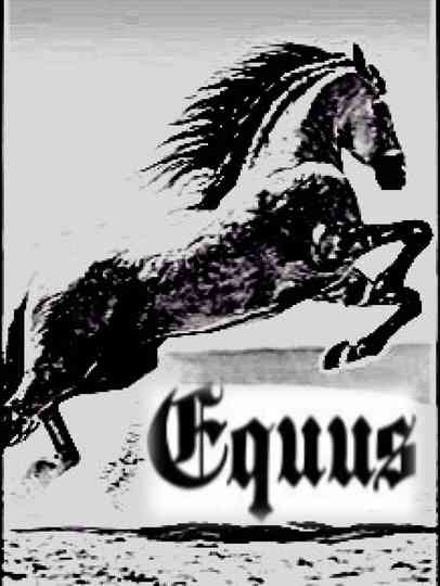 Equus Poster