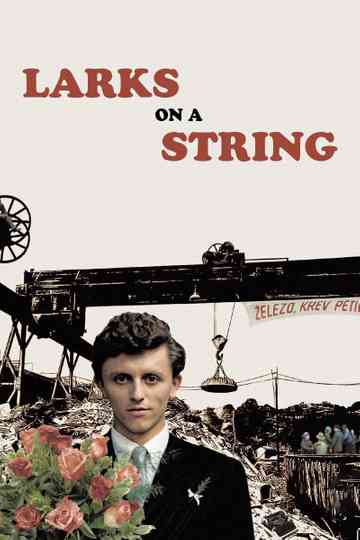 Larks on a String Poster