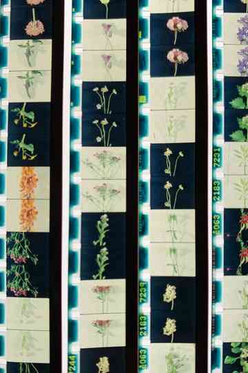 Lover, Lovers, Loving, Love Poster