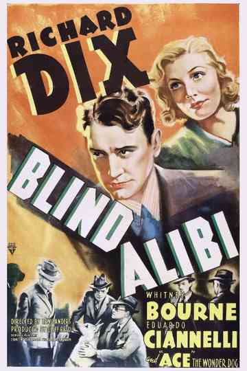 Blind Alibi Poster