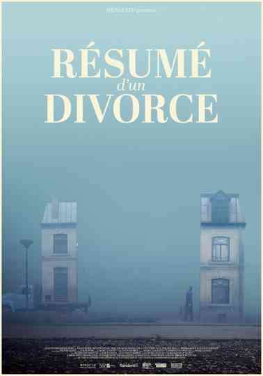 Manual for a Divorce Poster