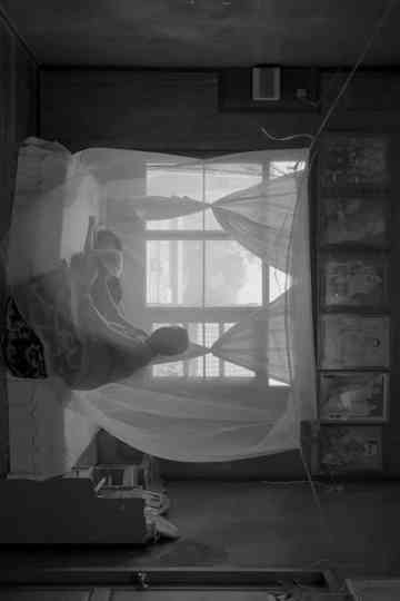 Dream FilmBefore Sunset