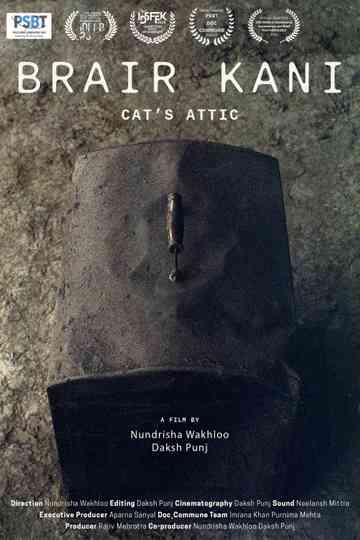 Cat's Attic Poster