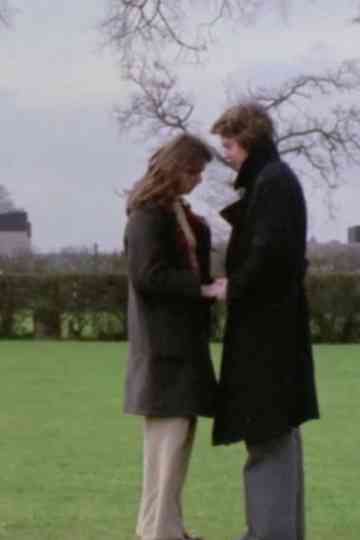 Pebbles in the Flood Poster