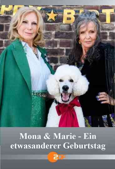 Mona & Marie - Ein etwas anderer Geburtstag poster