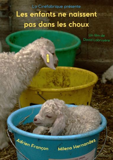 Les enfants ne naissent pas dans les choux
