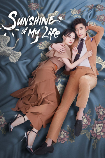 Sunshine of My Life Poster