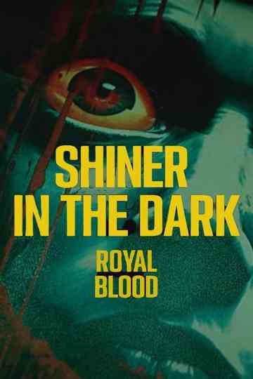 Shiner In The Dark Poster