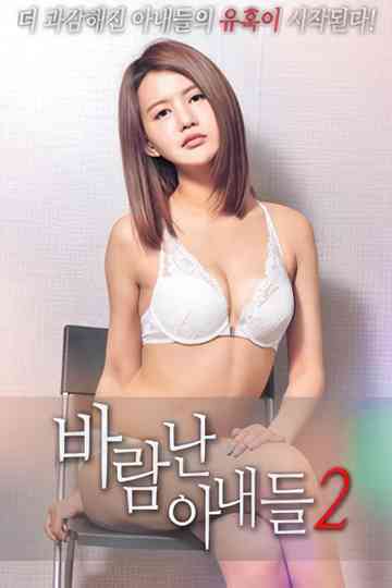 바람난 아내들2 Poster