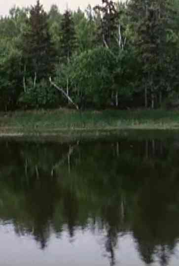 La voix des rivières Poster