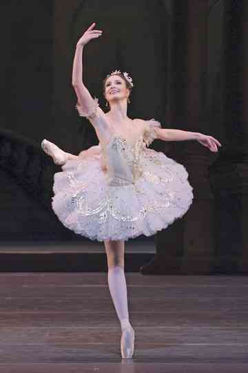 The Sleeping Beauty Poster