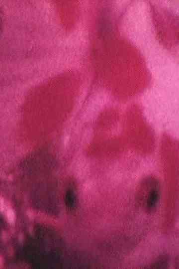 CRAZY LOVE CHAPTER Poster