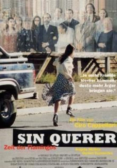 Sin querer Poster