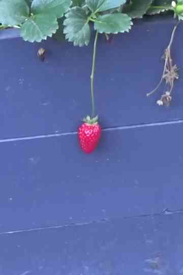 are you mad at me Poster