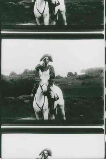 The Tales of Ensign Stål Poster