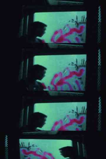 Deambulando.. poster