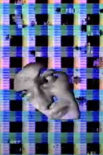 Belle et Sébastien Poster