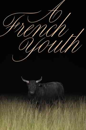 A French Youth Poster