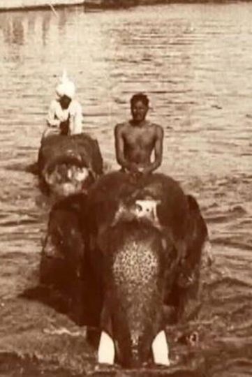 Edward Prince of Wales' Tour of India: Indore, Bhopal, Gwalior and Delhi