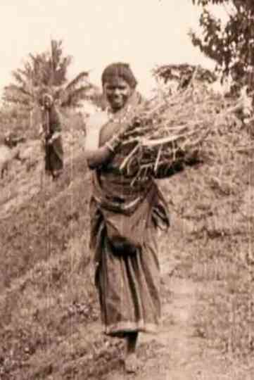 Edward Prince of Wales' Tour of India: Peshawar, The Khyber Pass and Rawl Pindi Poster
