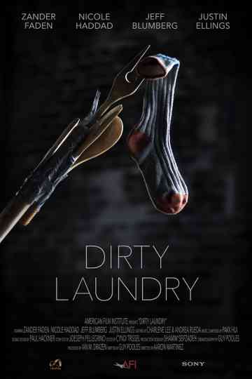 Dirty Laundry Poster