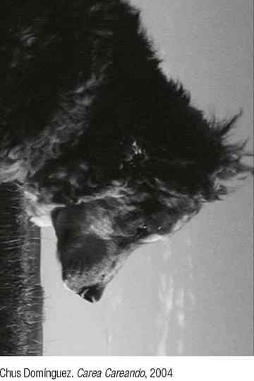 Carea careando. De pastores, perros y rebaños Poster