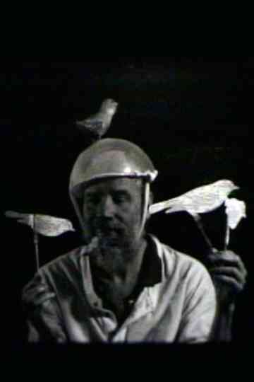 Bearded Birds Poster