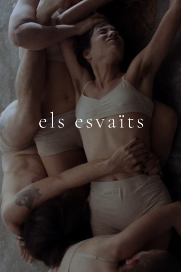 Els esvaïts Poster