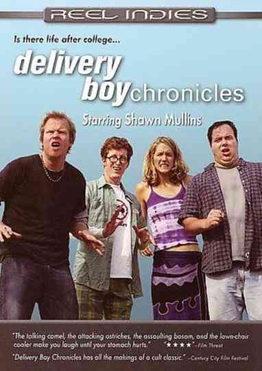 Delivery Boy Chronicles Poster
